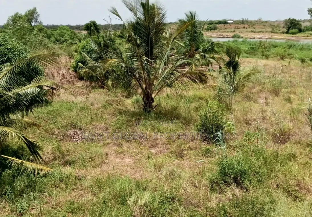 Over 175 Acres on Galana River in Baricho Malindi Is for Sale