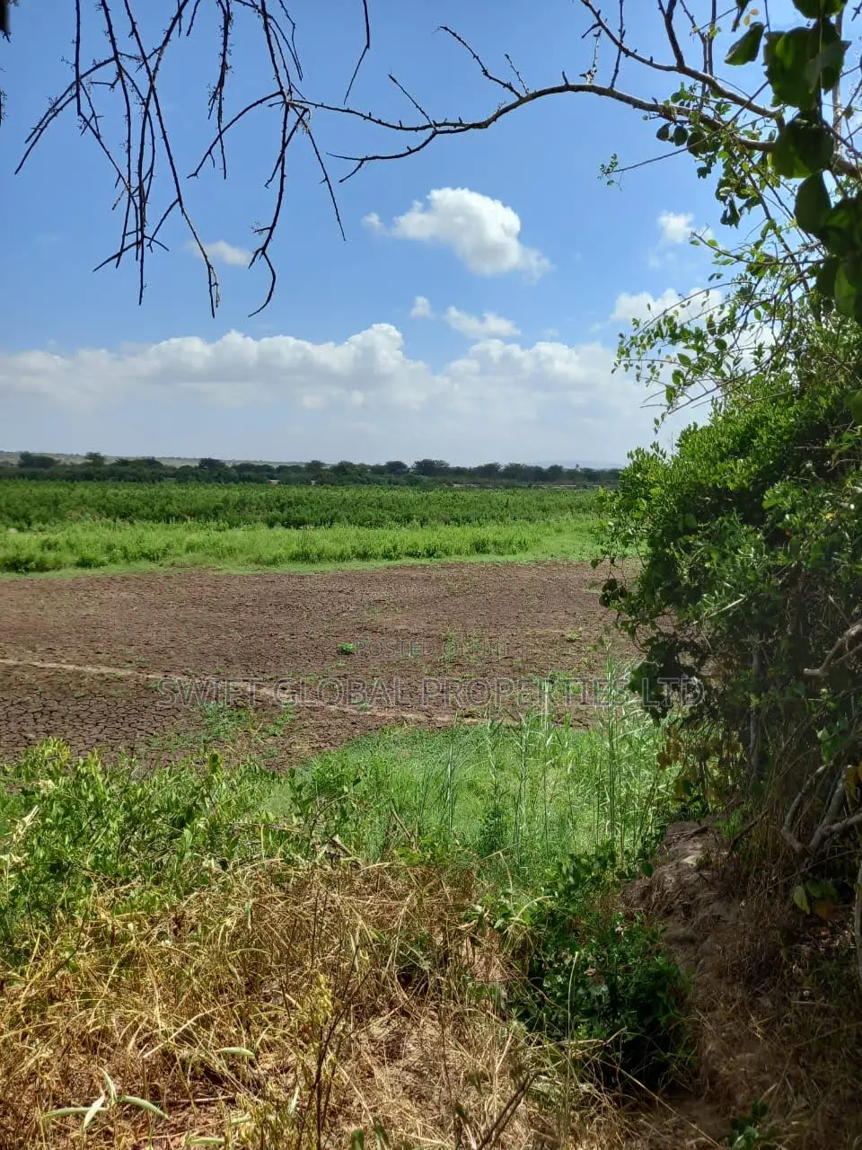 Over 20,000 Acres Block With Water Is Available for Lease