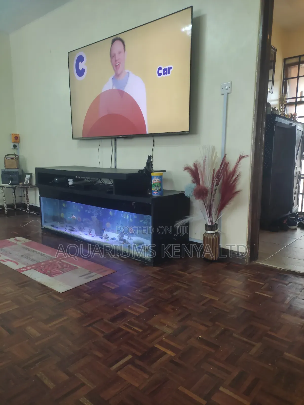 Modern Under-Tv Aquarium Display
