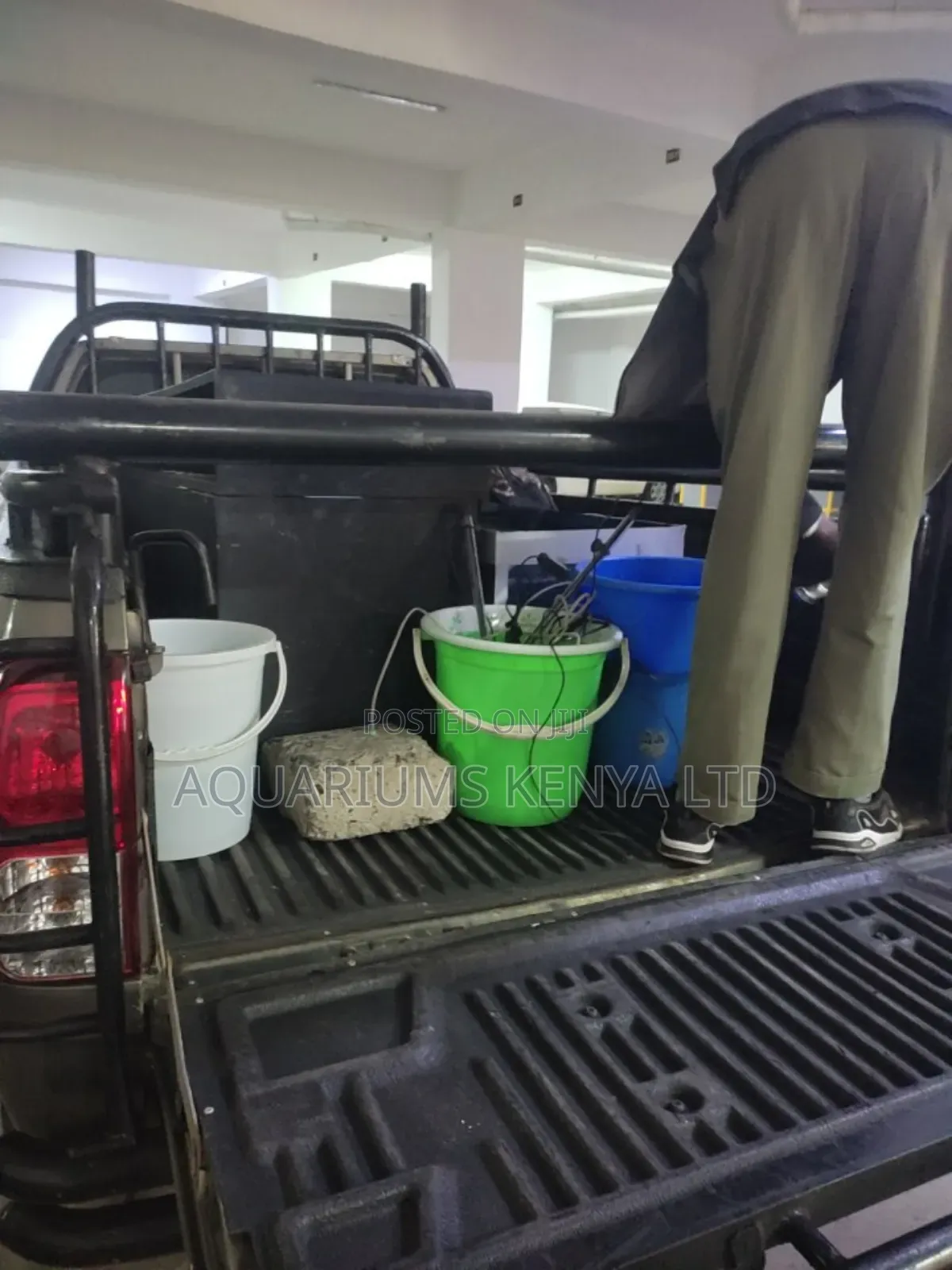 Aquarium Logistic Services