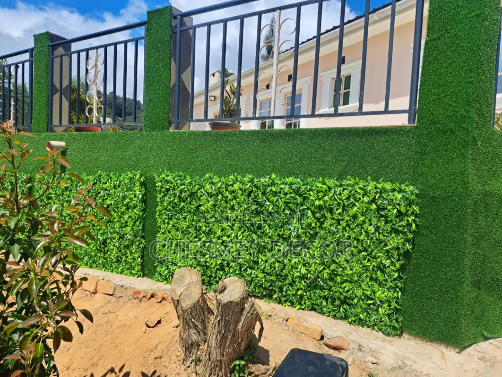 Grass Carpet And Wall Hedges