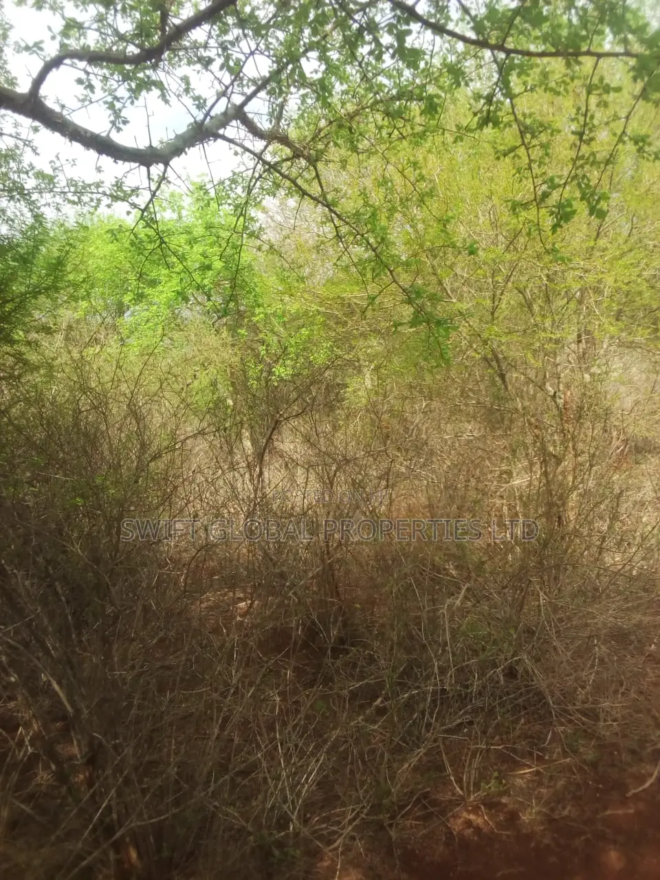 60 Acres With Permanent Water in Kambu Makueni Is for Sale