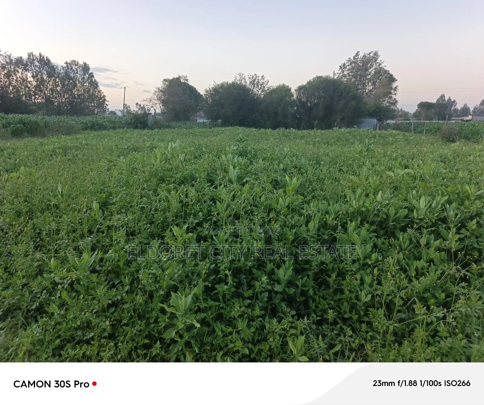 1/8 Plot Kimumu Better Farm.