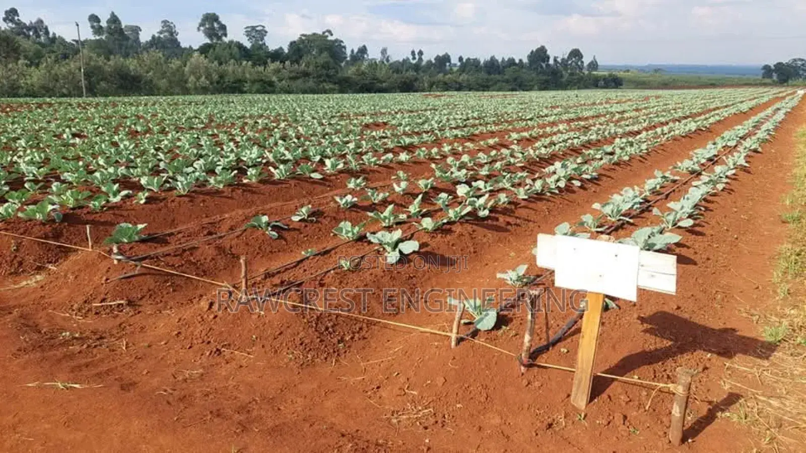 Drip Irrigation Installation