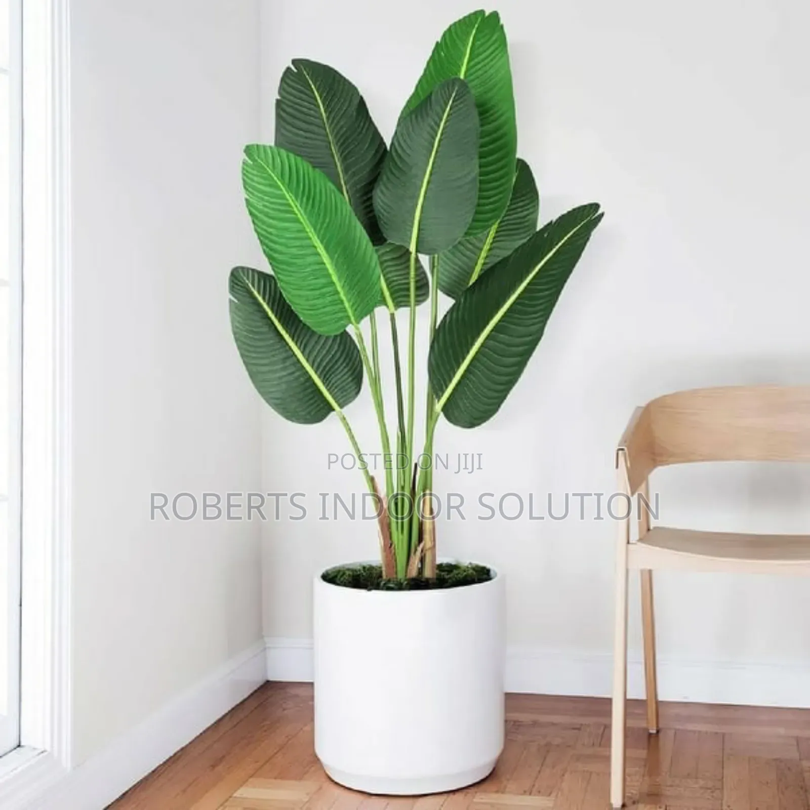 Stunning Artificial Banana Offers the Beauty of Real Plant