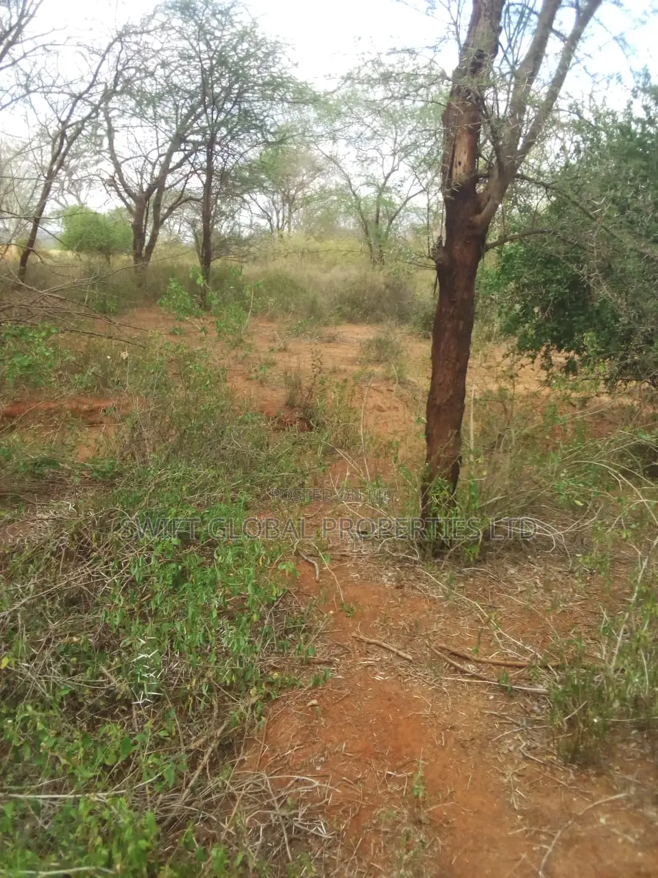 10,000 Acres Along Kibwezi-Kitui Road Is Available for Sale