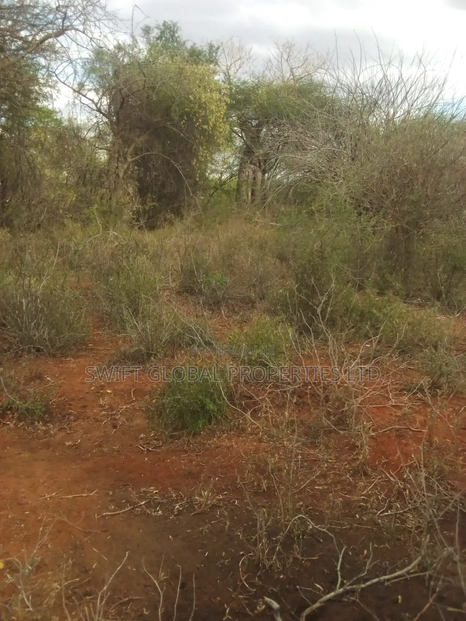 10,000 Acres Along Kibwezi-Kitui Road Is Available for Sale