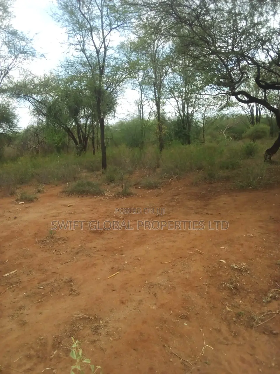 10,000 Acres Along Kibwezi-Kitui Road Is Available for Sale