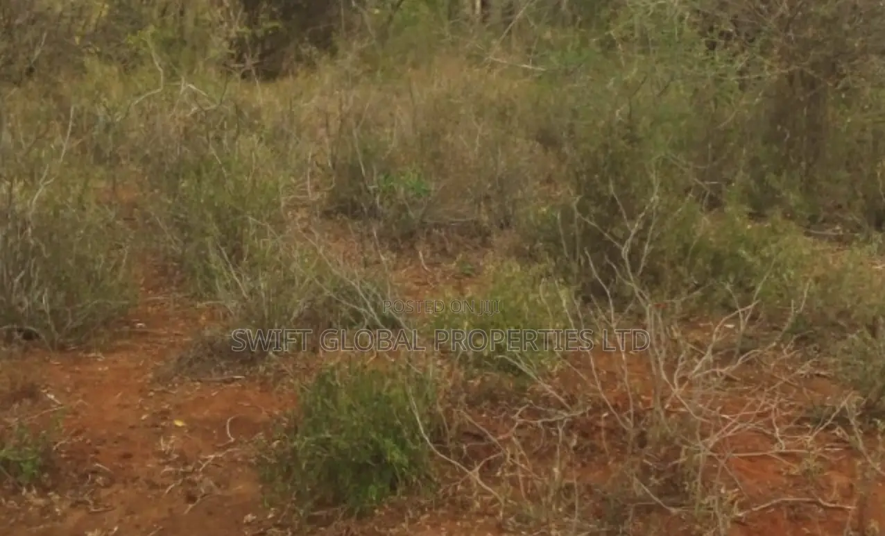 1,500 Acres Virgin Land in Kambu Makueni Is for Sale
