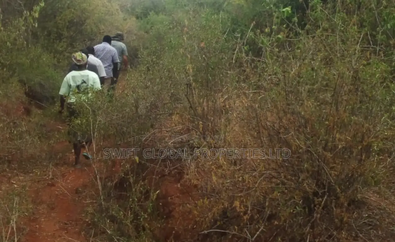 1,500 Acres Virgin Land in Kambu Makueni Is for Sale