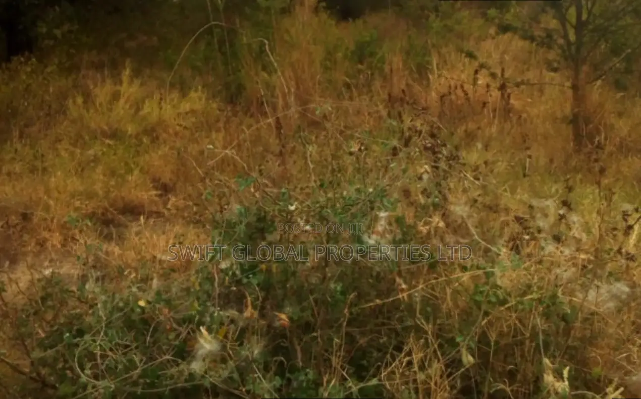 1,500 Acres Virgin Land in Kambu Makueni Is for Sale