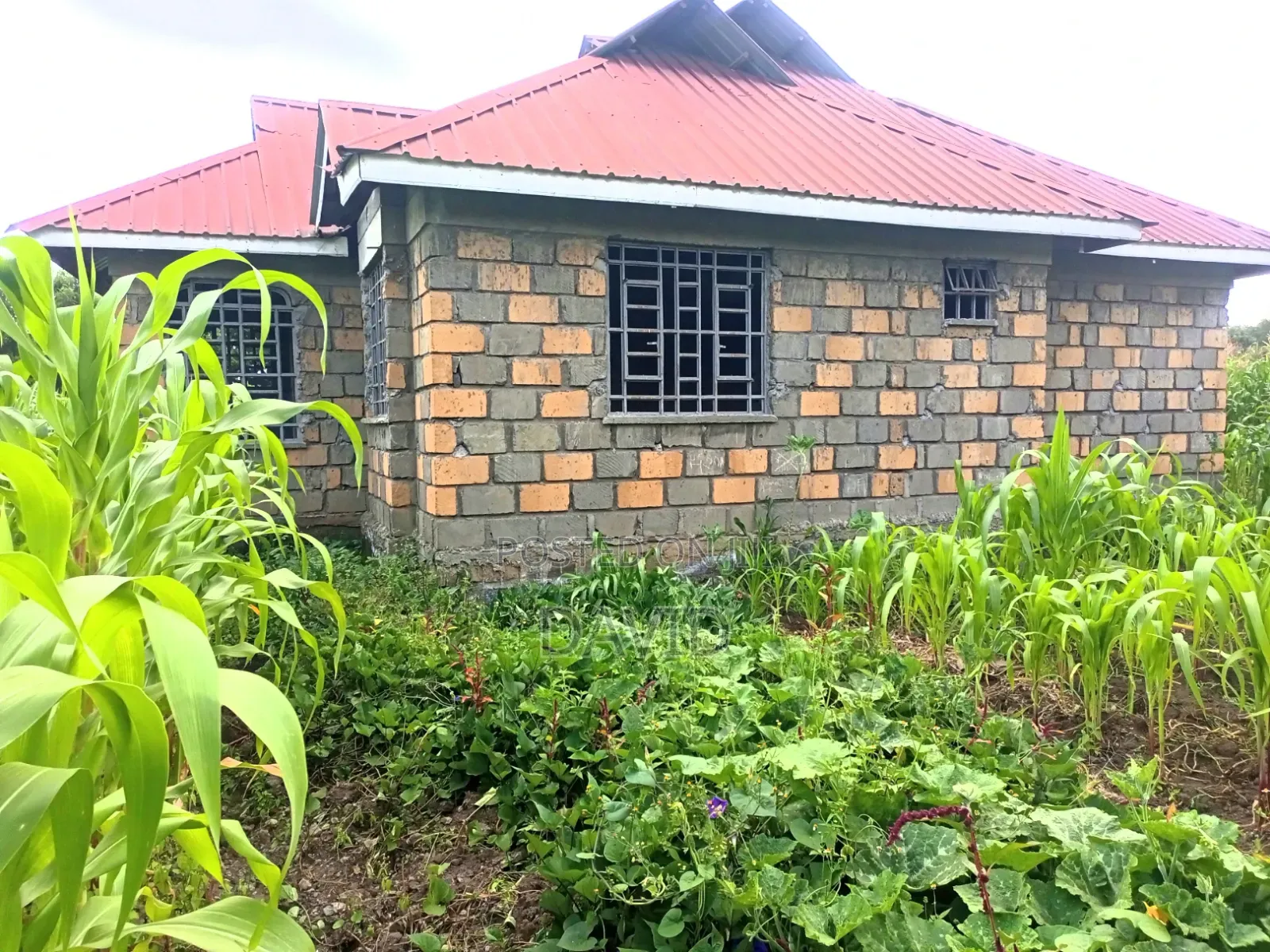 3bdrm House in Kiamaina, Nakuru Town East for sale