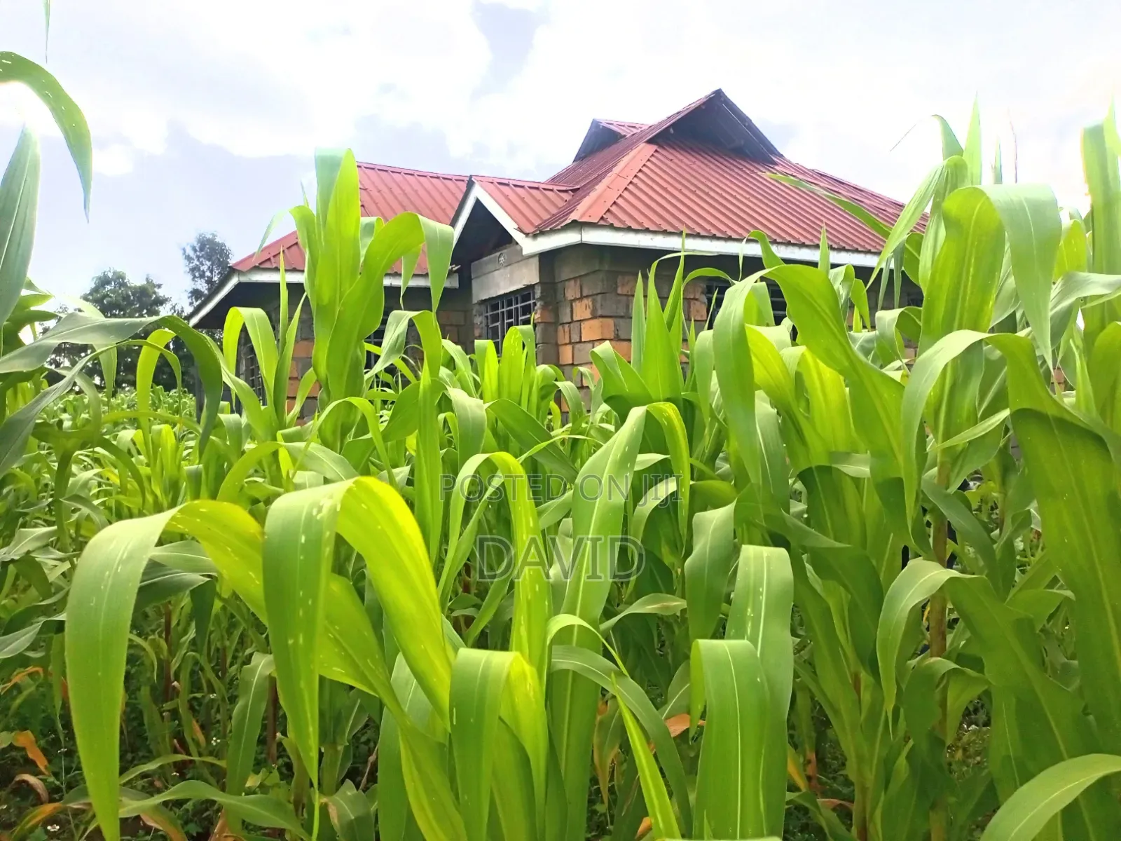 3bdrm House in Kiamaina, Nakuru Town East for sale