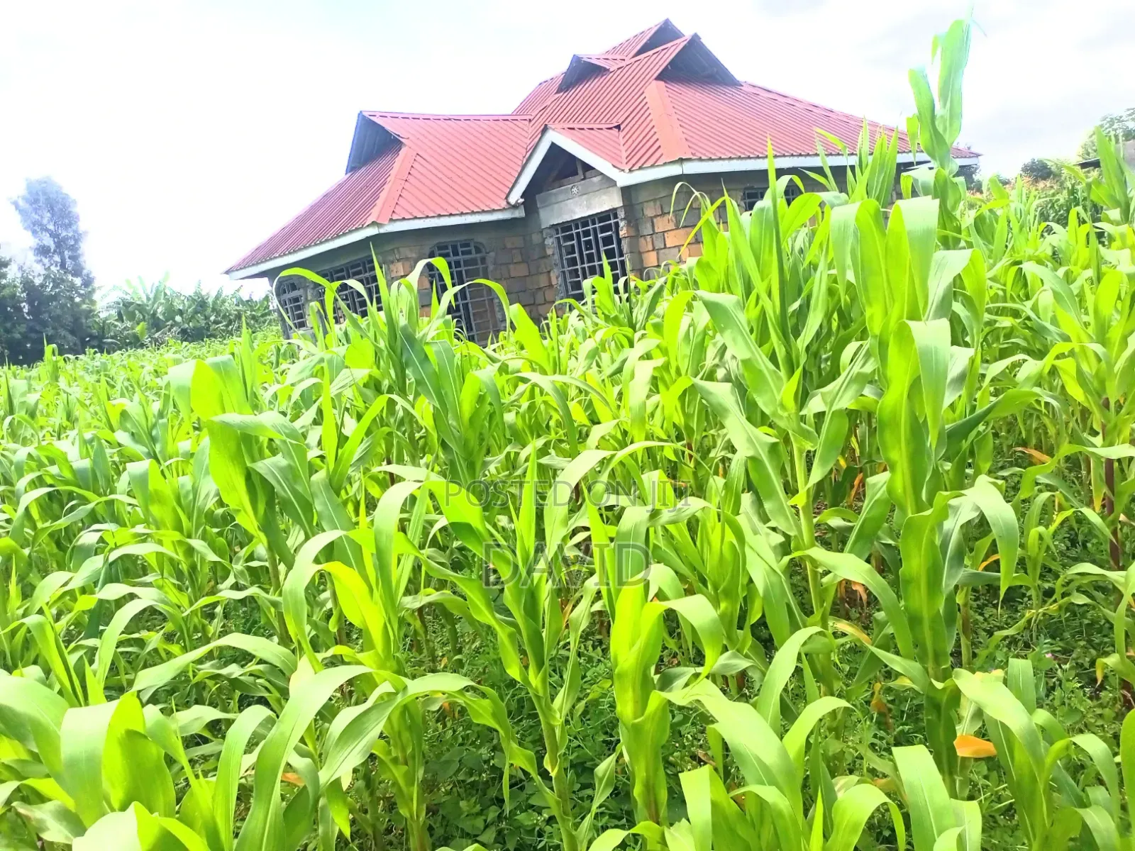 3bdrm House in Kiamaina, Nakuru Town East for sale