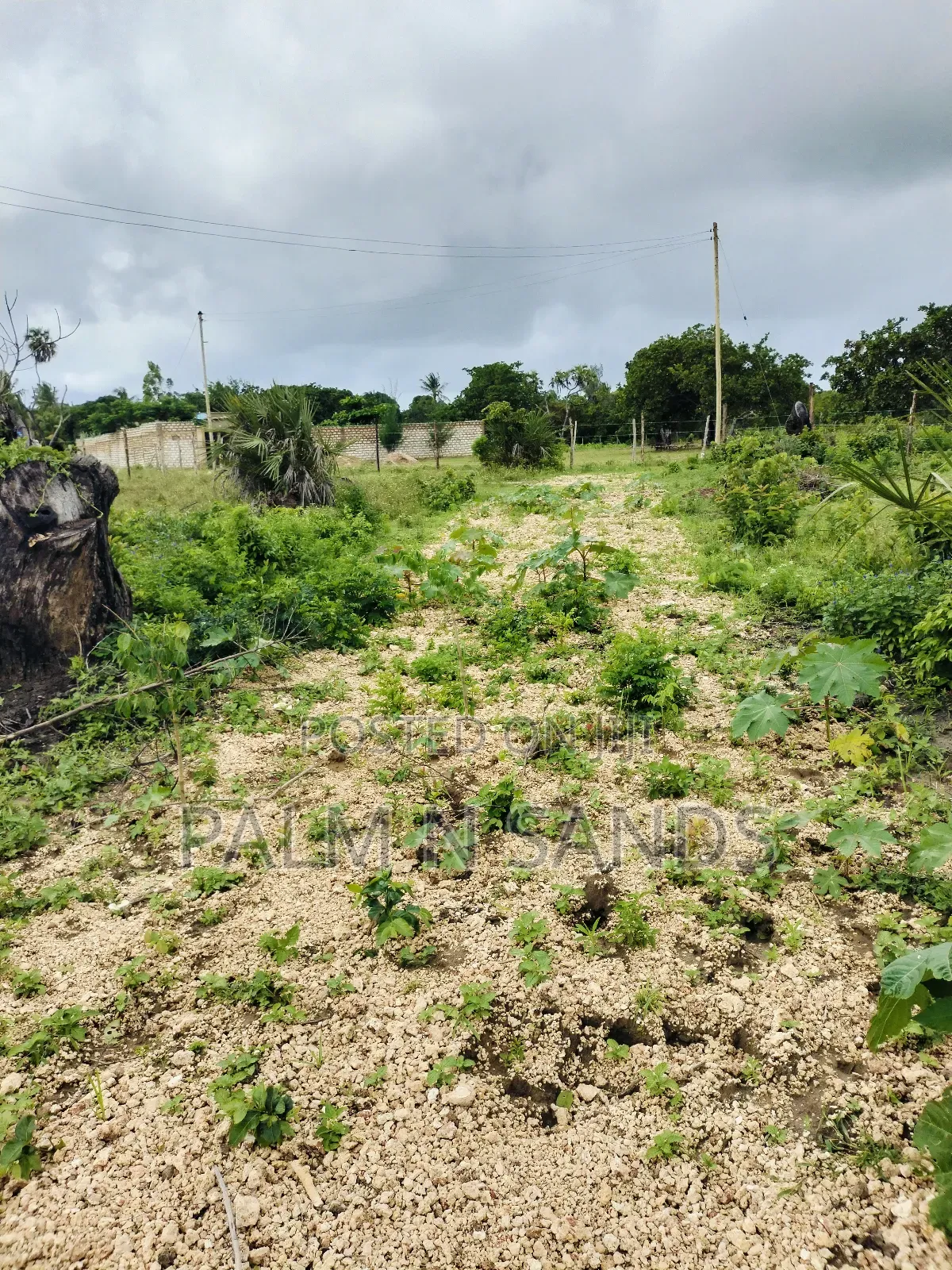 Kombani Prime Plots on Sale!! At 
