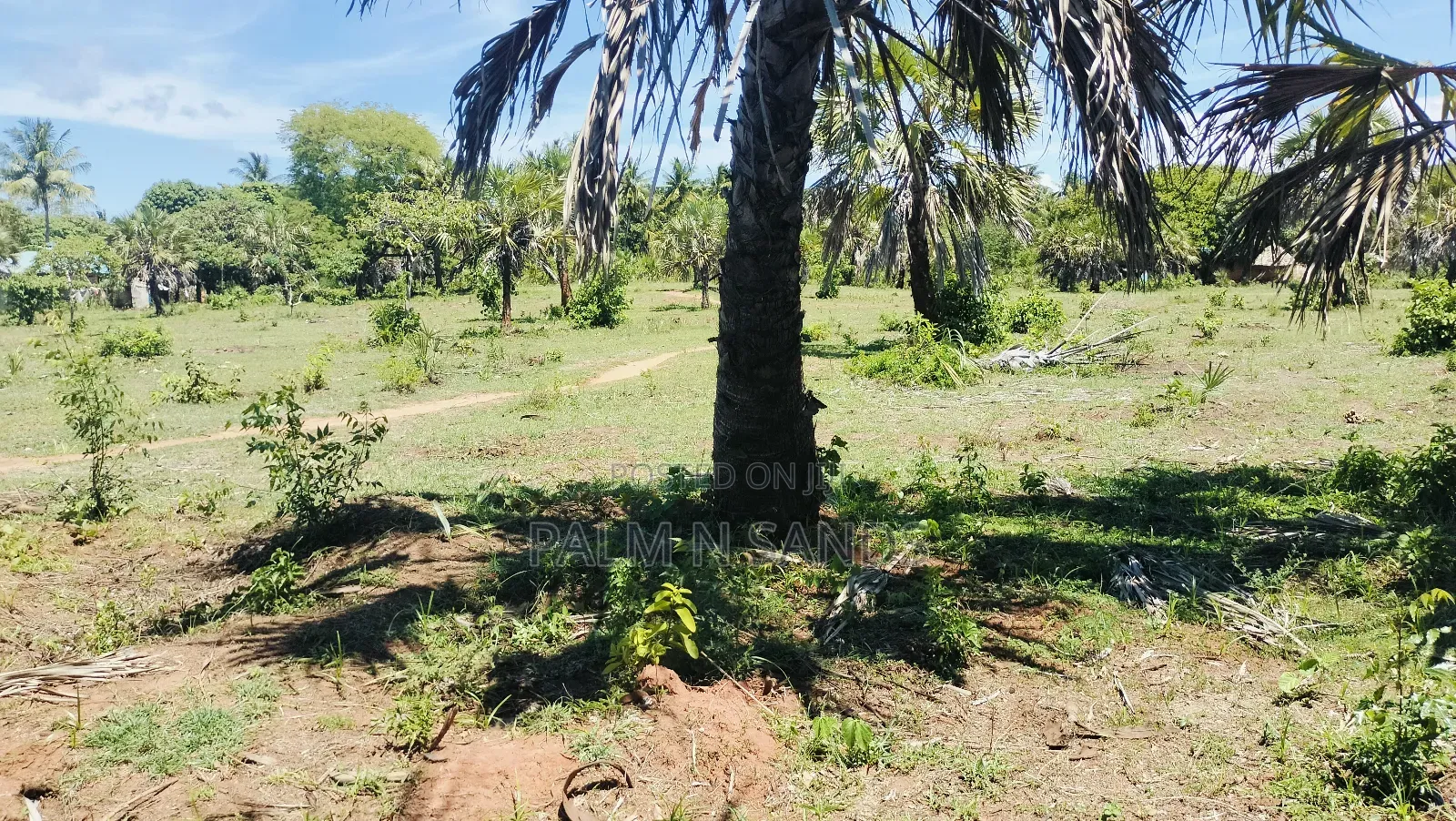 1.5 Acre Galu Land on Sale!!