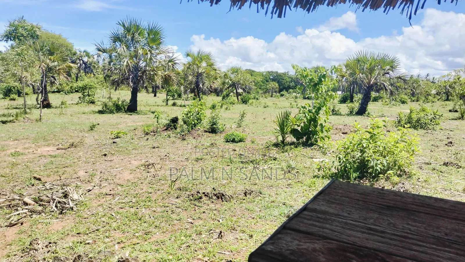 1.5 Acre Galu Land on Sale!!