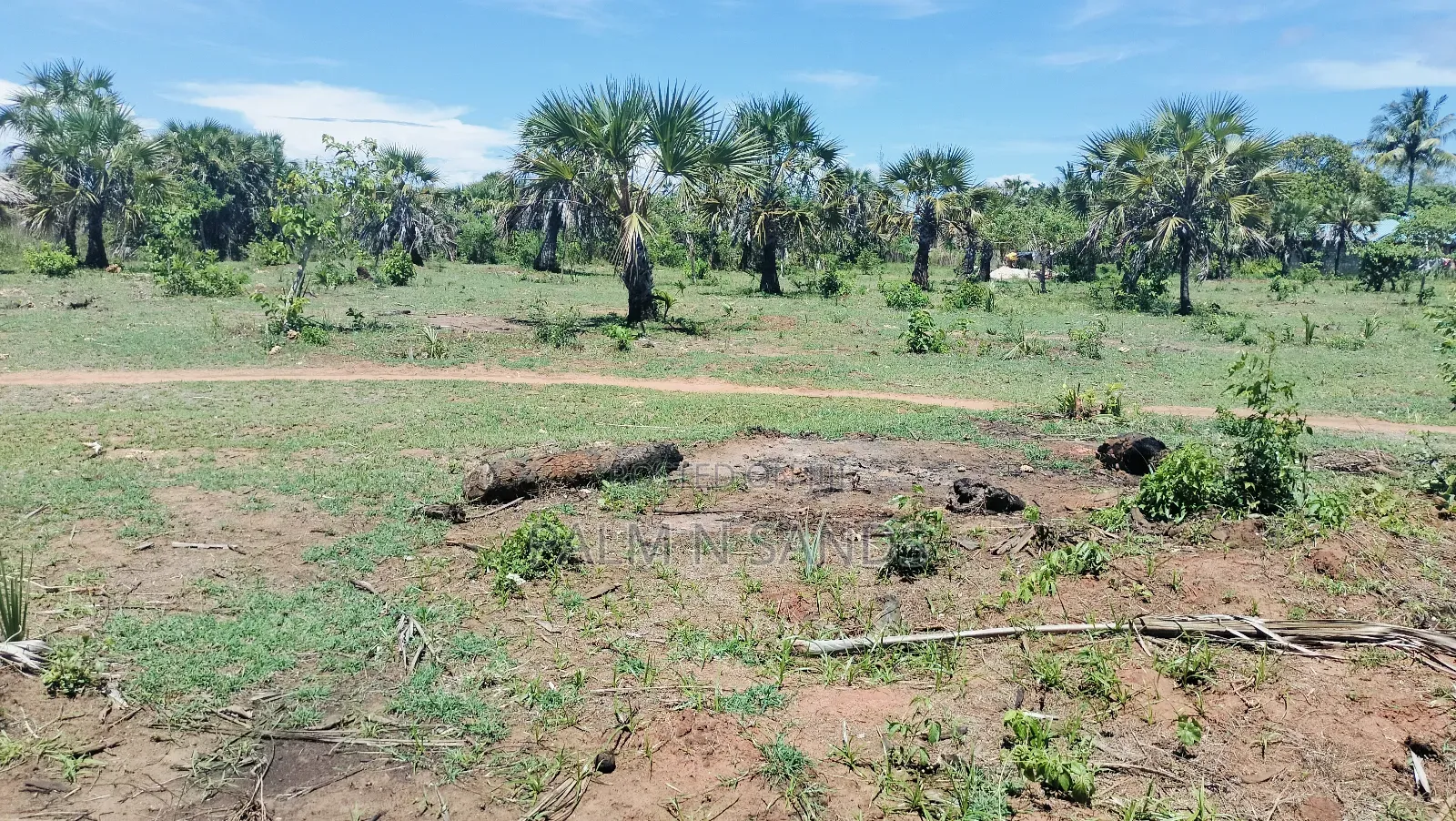 1.5 Acre Galu Land on Sale!!