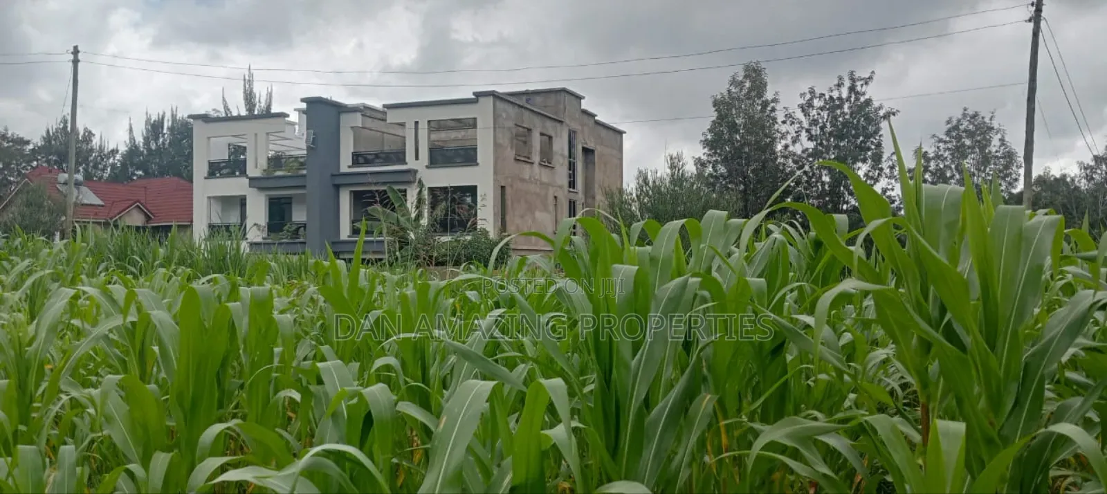 50 by 100 Plot in Matasia Memusi Along Rapasi Road for Sale