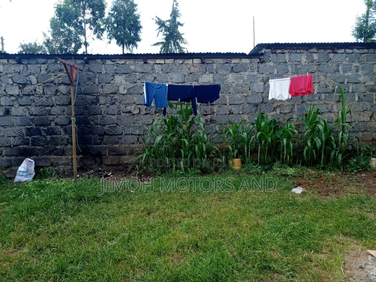 House Rent in Gachie Kiambaa or for Sale