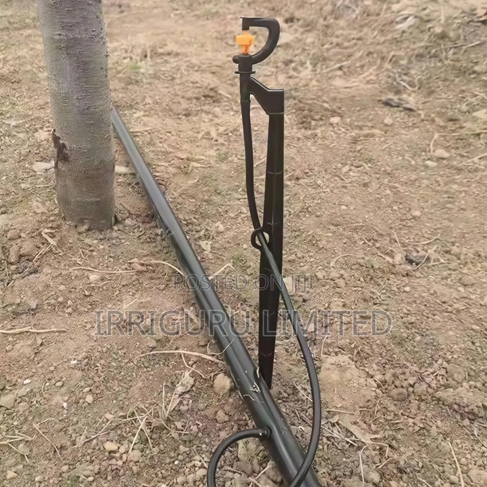 Miniature Sprinkler for Orchard Fruit Trees