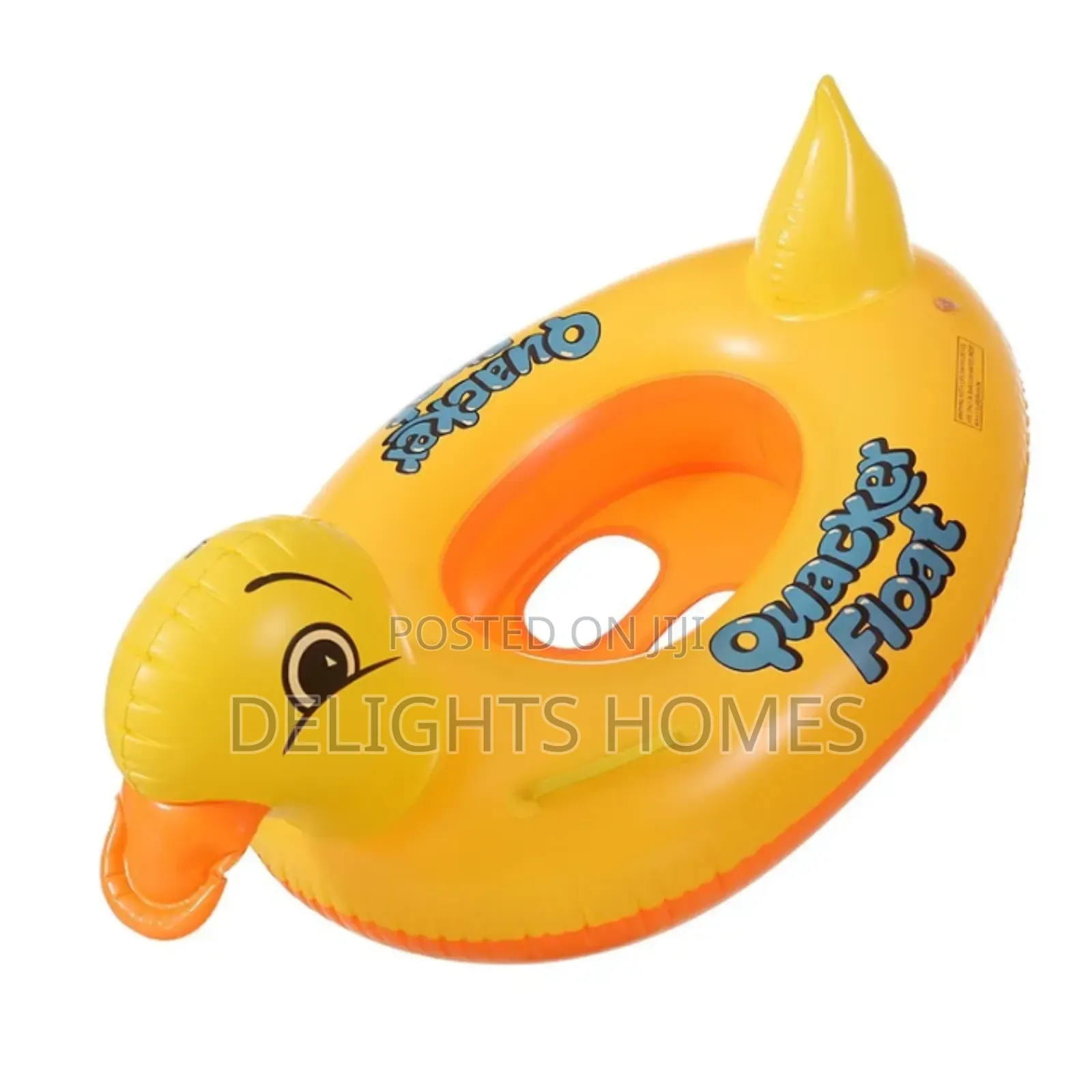 Swimming Ducks.