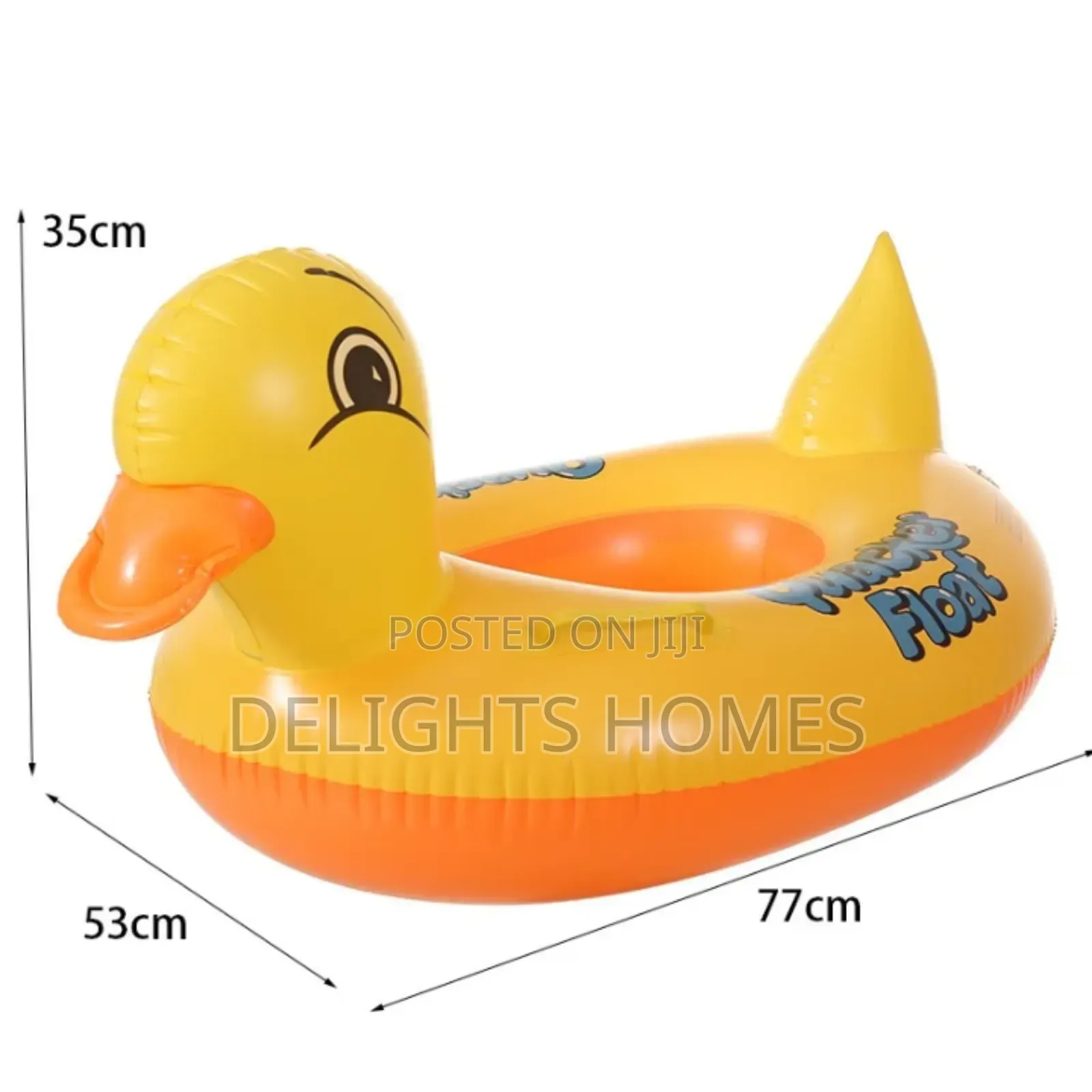 Swimming Ducks.