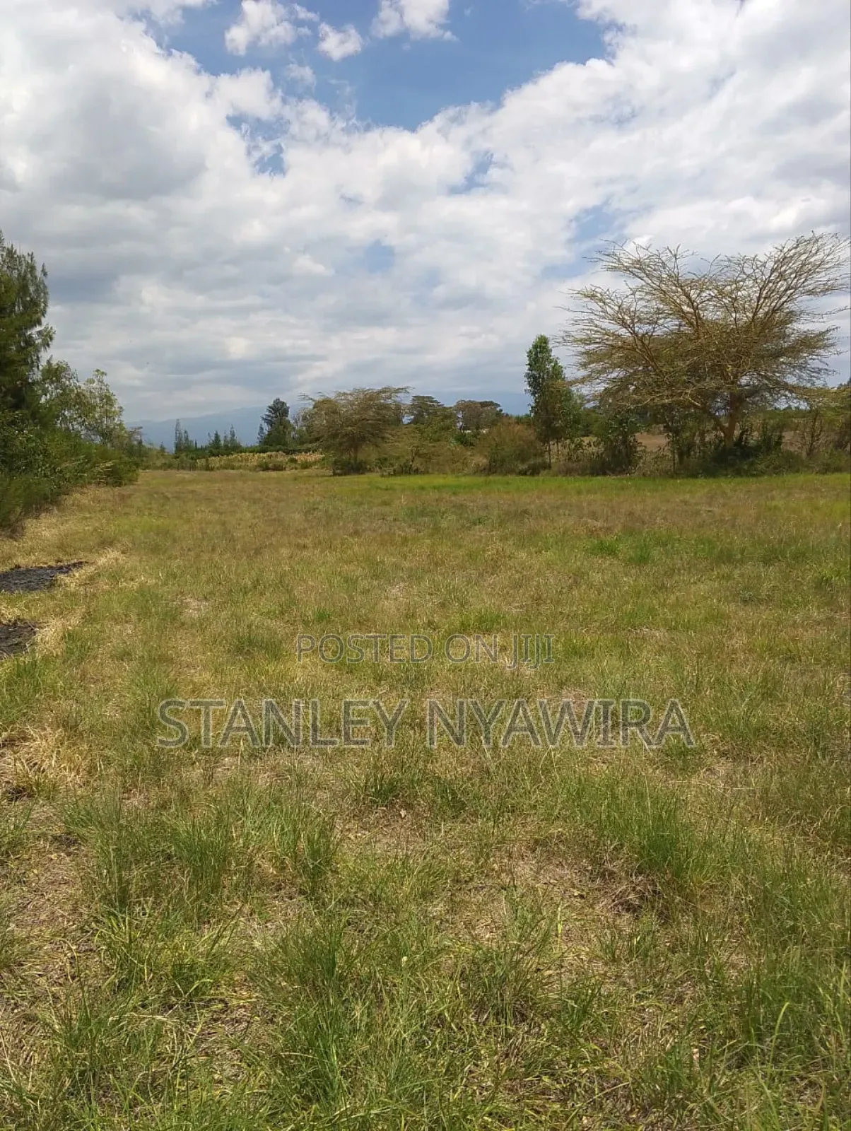 3 Acreas Nanyuki Sweet Water