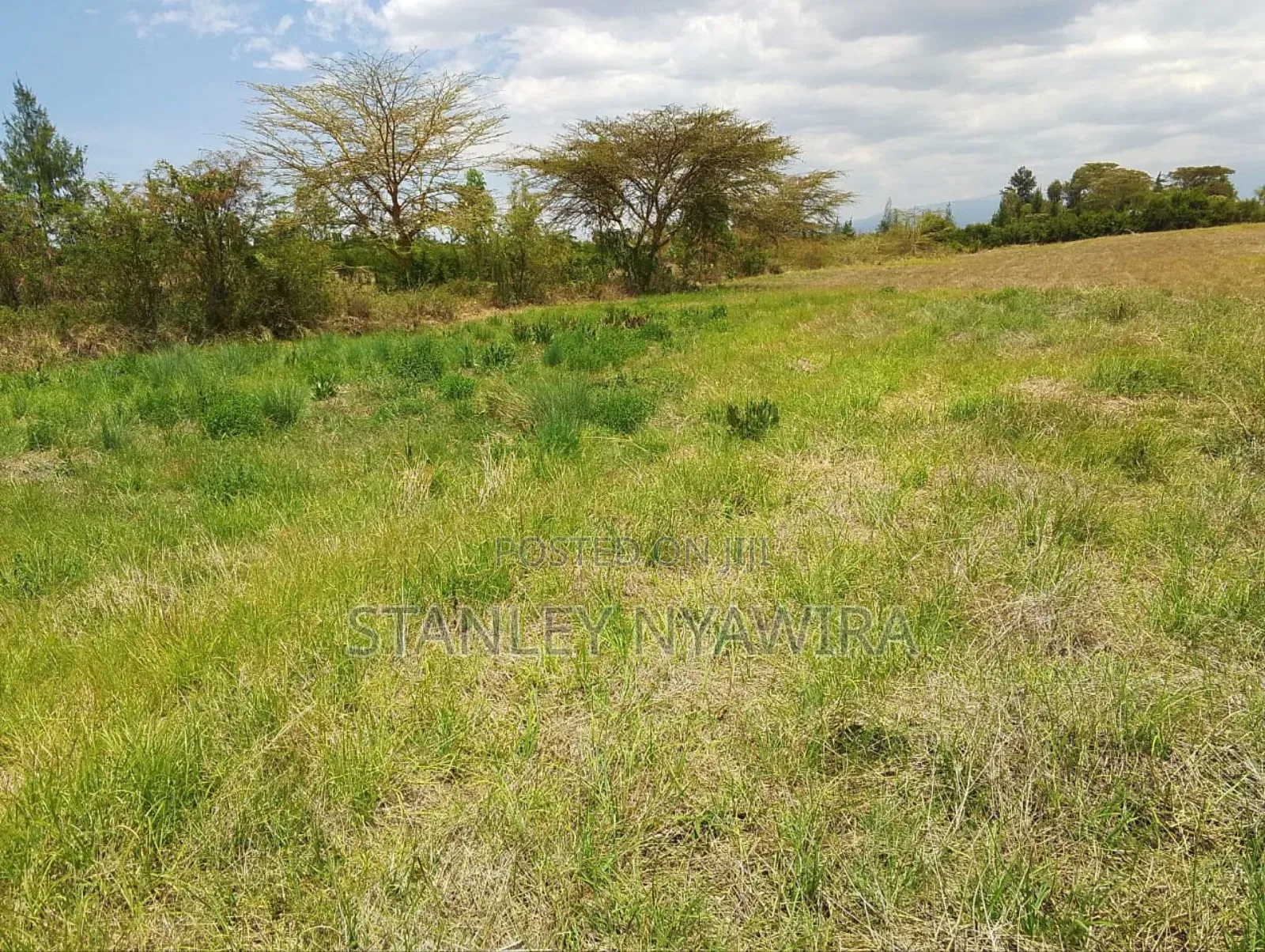 3 Acreas Nanyuki Sweet Water