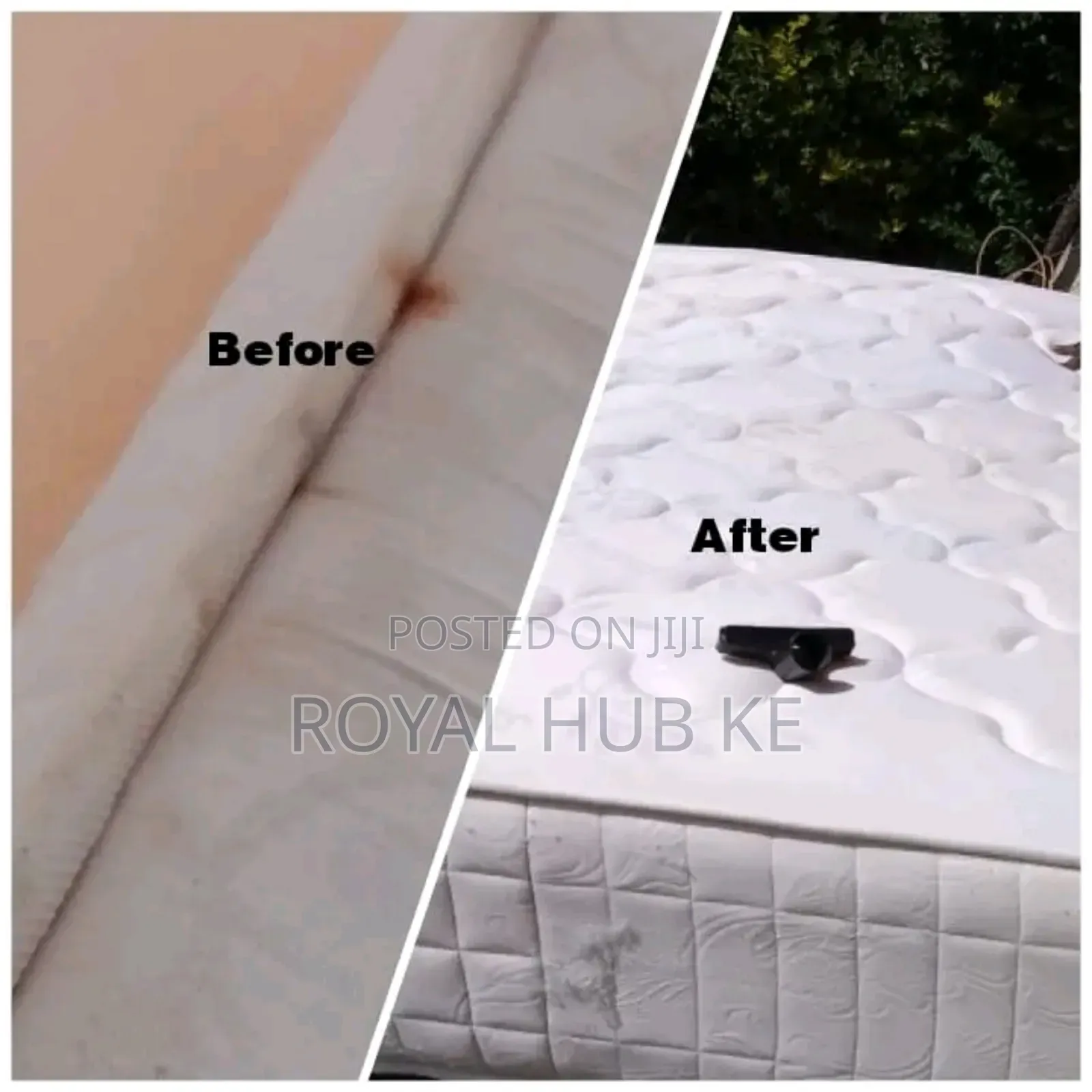 Cleaning Fumigation Services