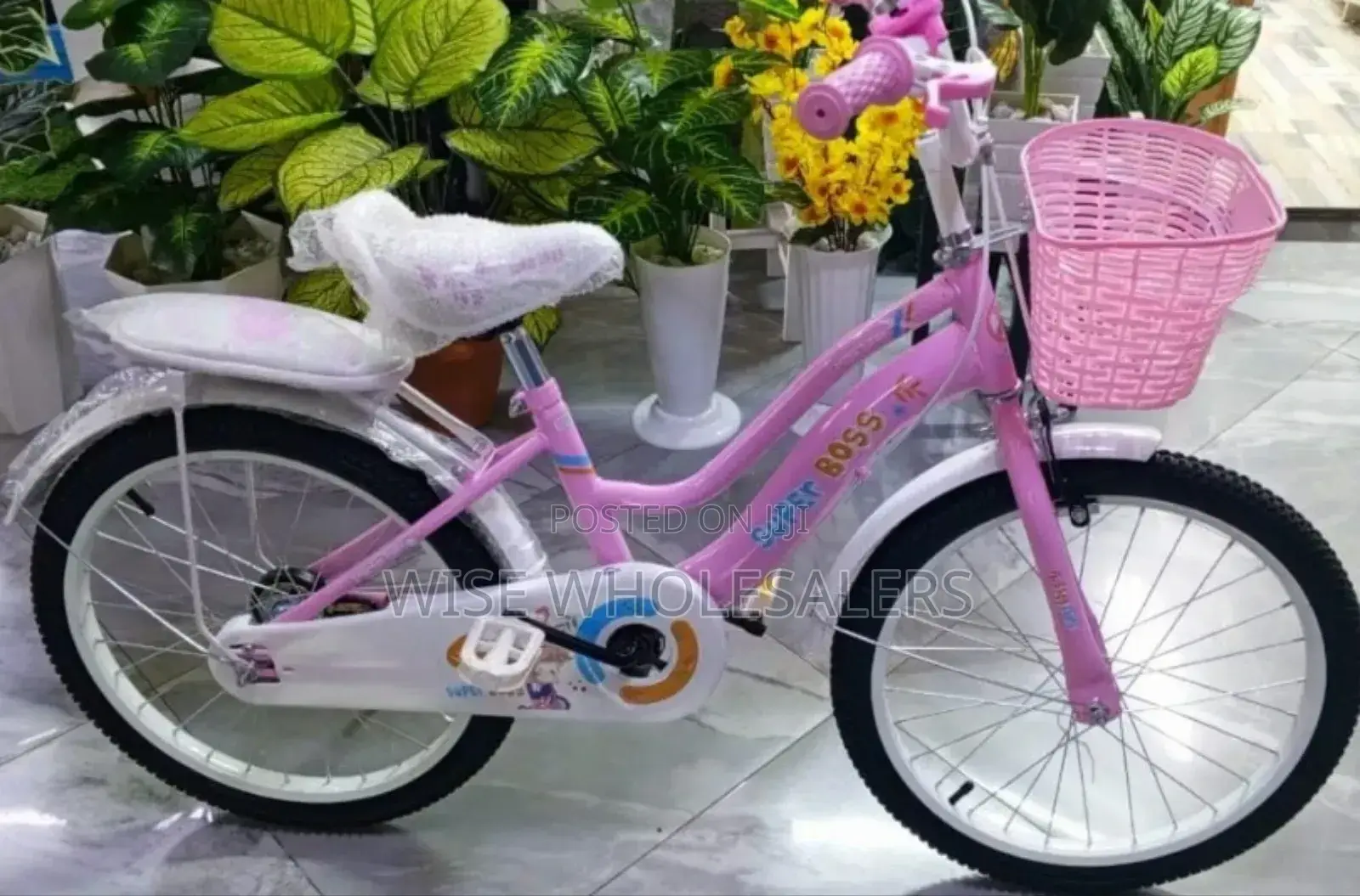 Girl Bike Size 20