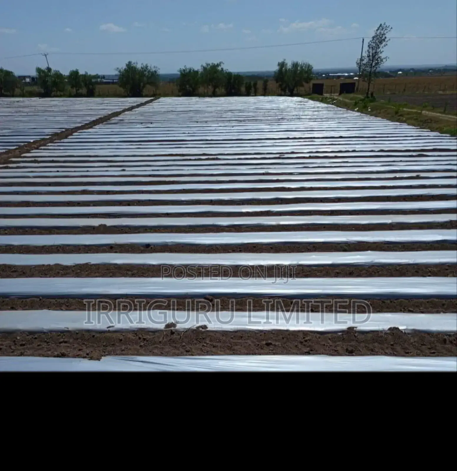 Mulching Technology