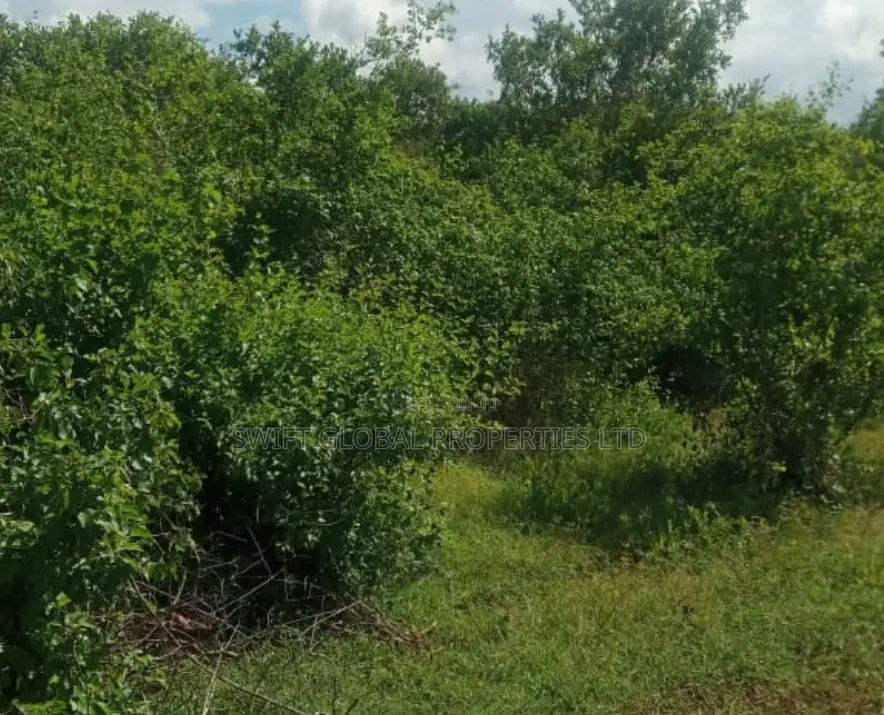 1090 Acres Along Athi River Kiaoni Is Available for Sale
