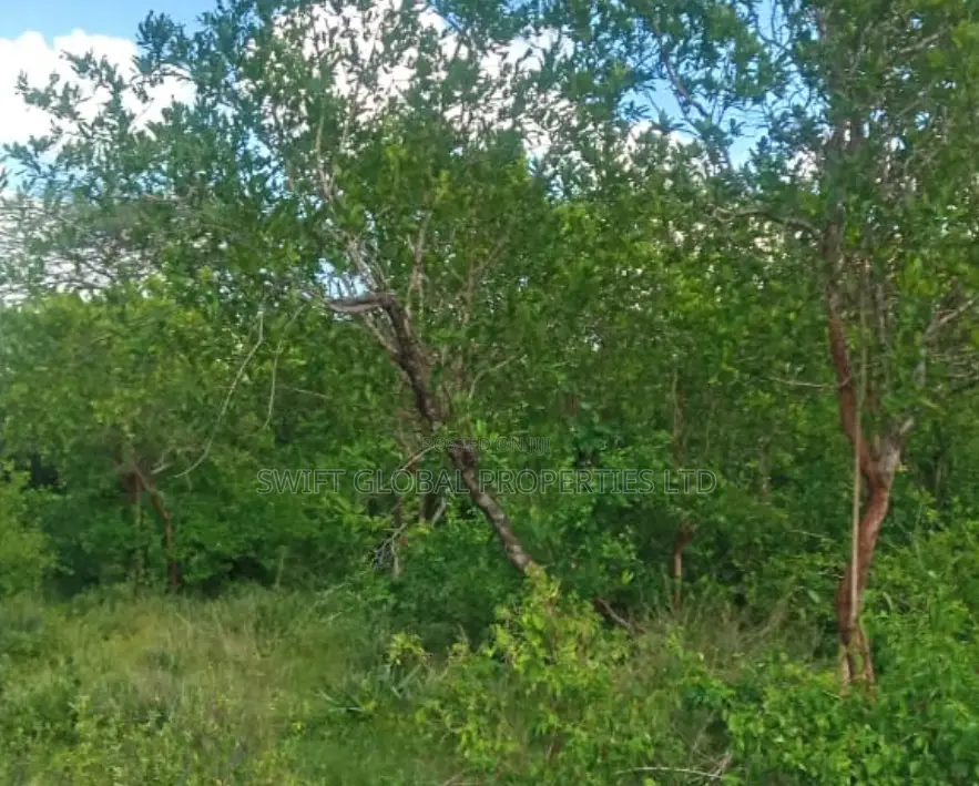 1090 Acres Along Athi River Kiaoni Is Available for Sale