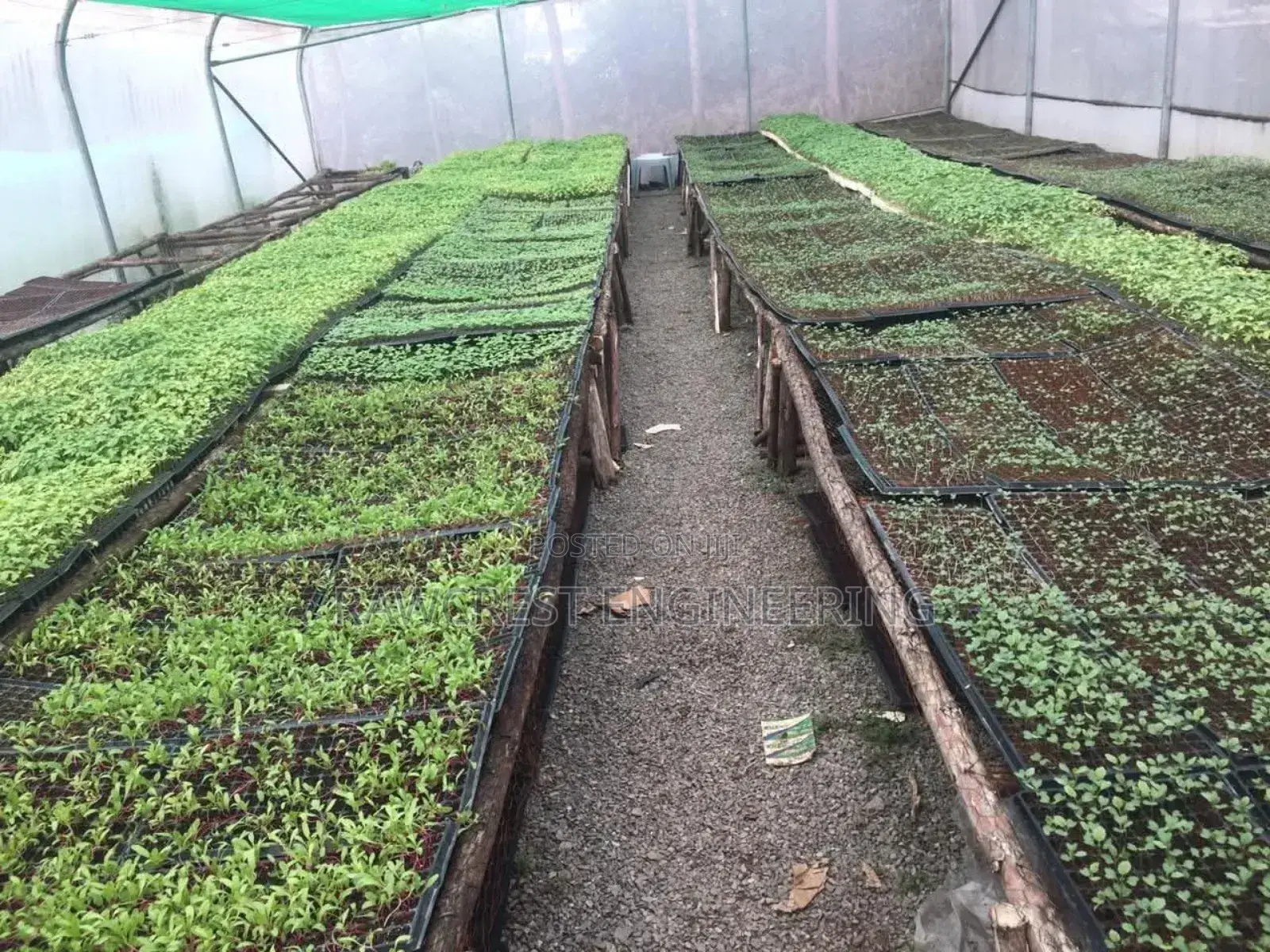 Greenhouse Construction