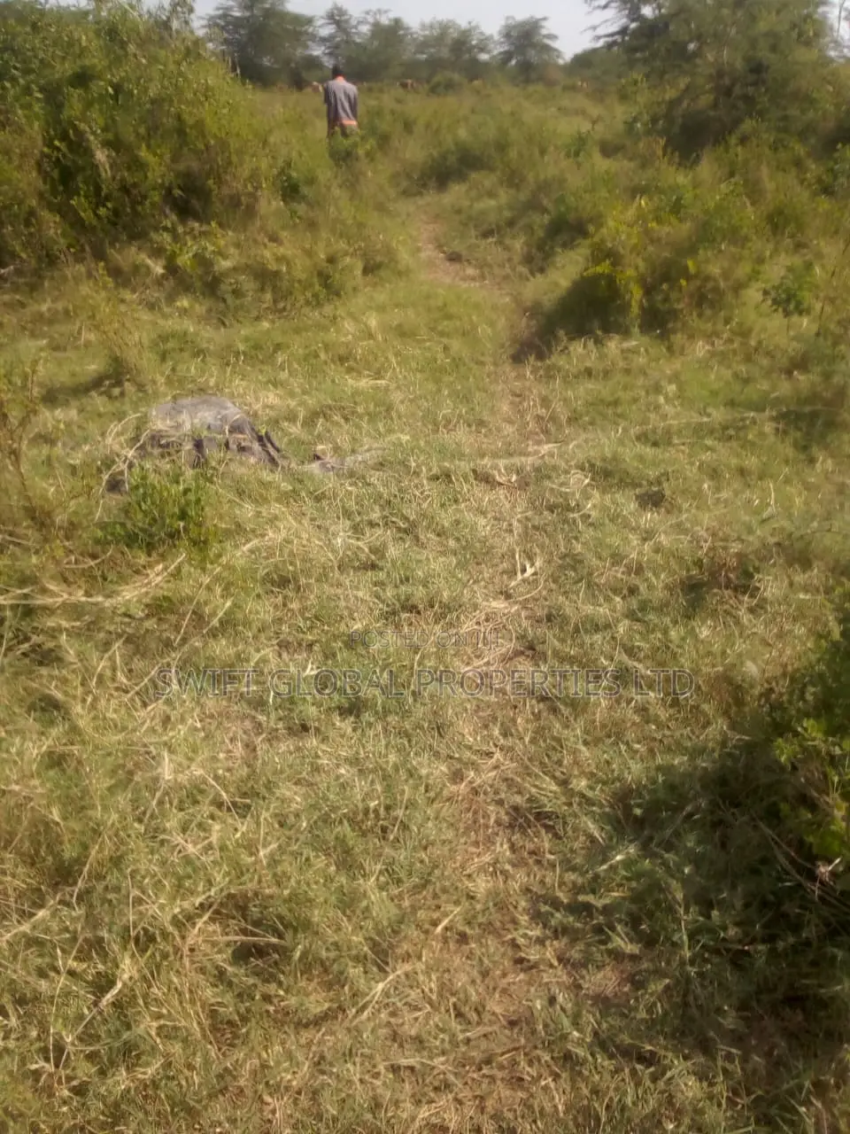185 Acres Is Available for Sale in Makindu Town Along Msa Rd