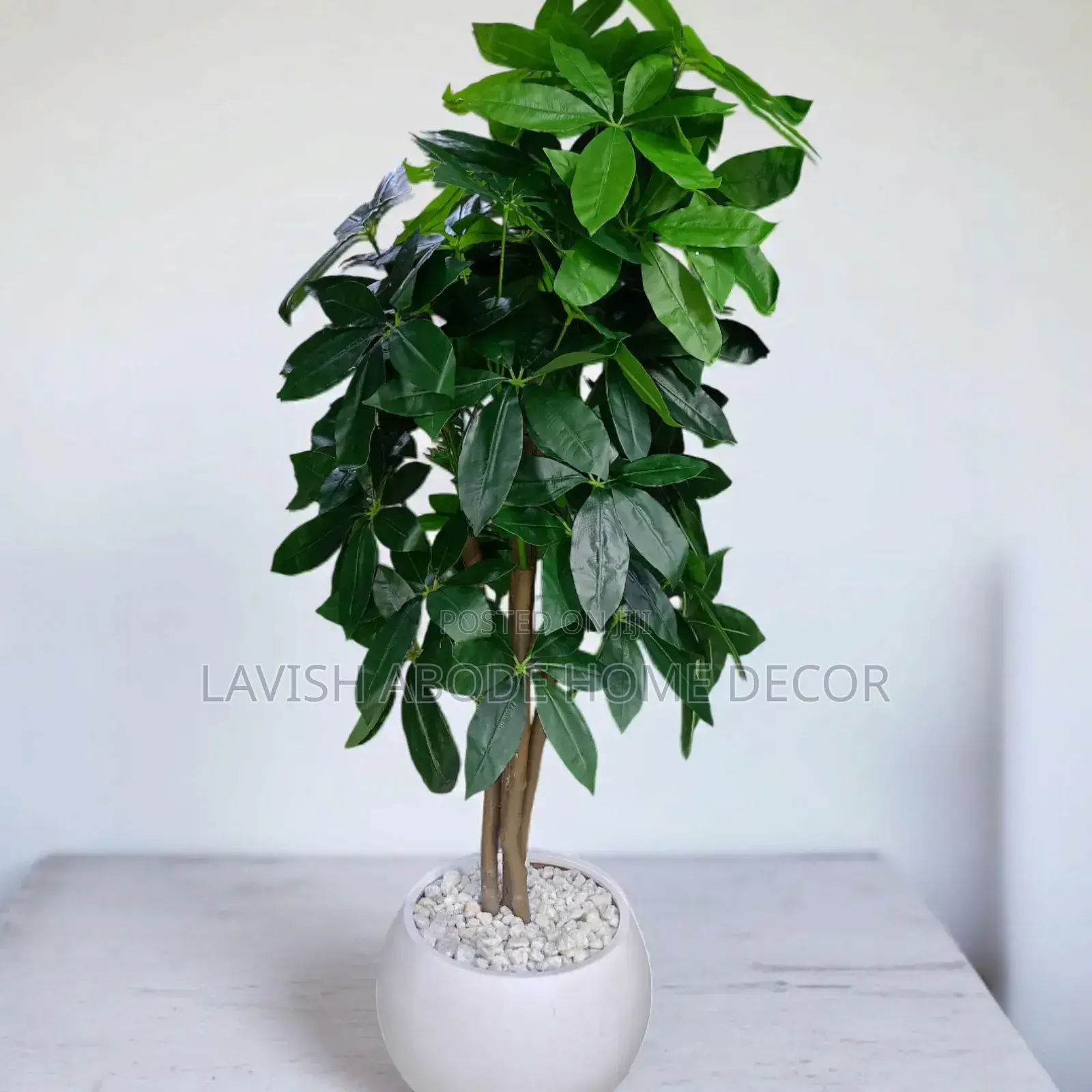 Artificial Indoor and Outdoor Plant