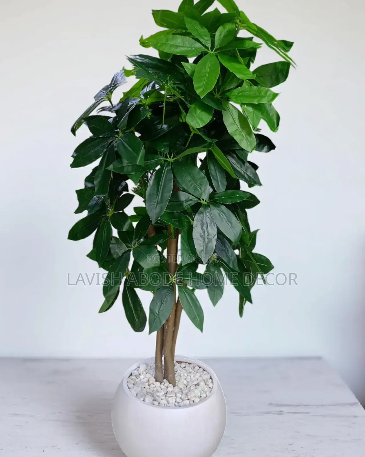 Artificial Indoor and Outdoor Plant