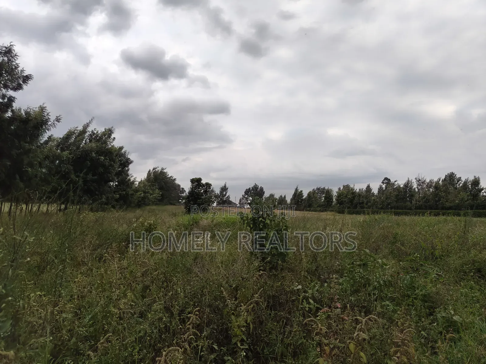 A 3 Acres Piece of Red Soil Land on Sale in Ngong, Kibiko
