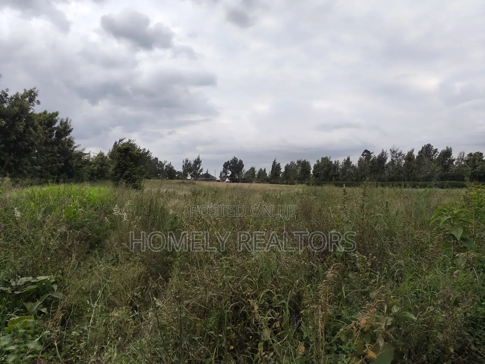 A 3 Acres Piece of Red Soil Land on Sale in Ngong, Kibiko