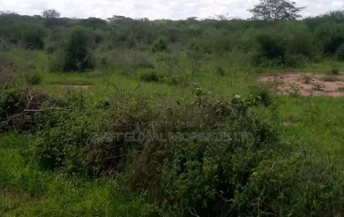 1500 Acres in Voi on Mombasa-Nairobi Highway Is for Sale