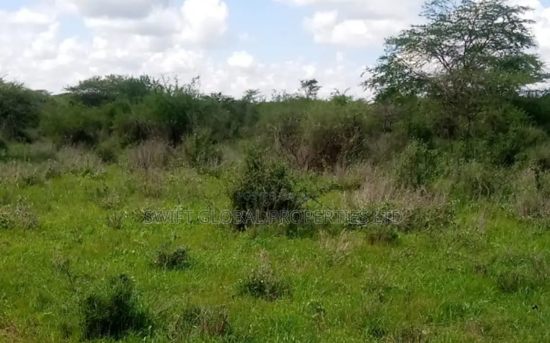 1500 Acres in Voi on Mombasa-Nairobi Highway Is for Sale