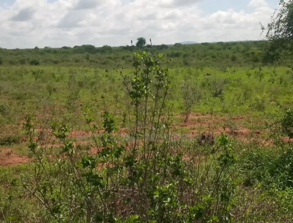 1500 Acres in Voi on Mombasa-Nairobi Highway Is for Sale