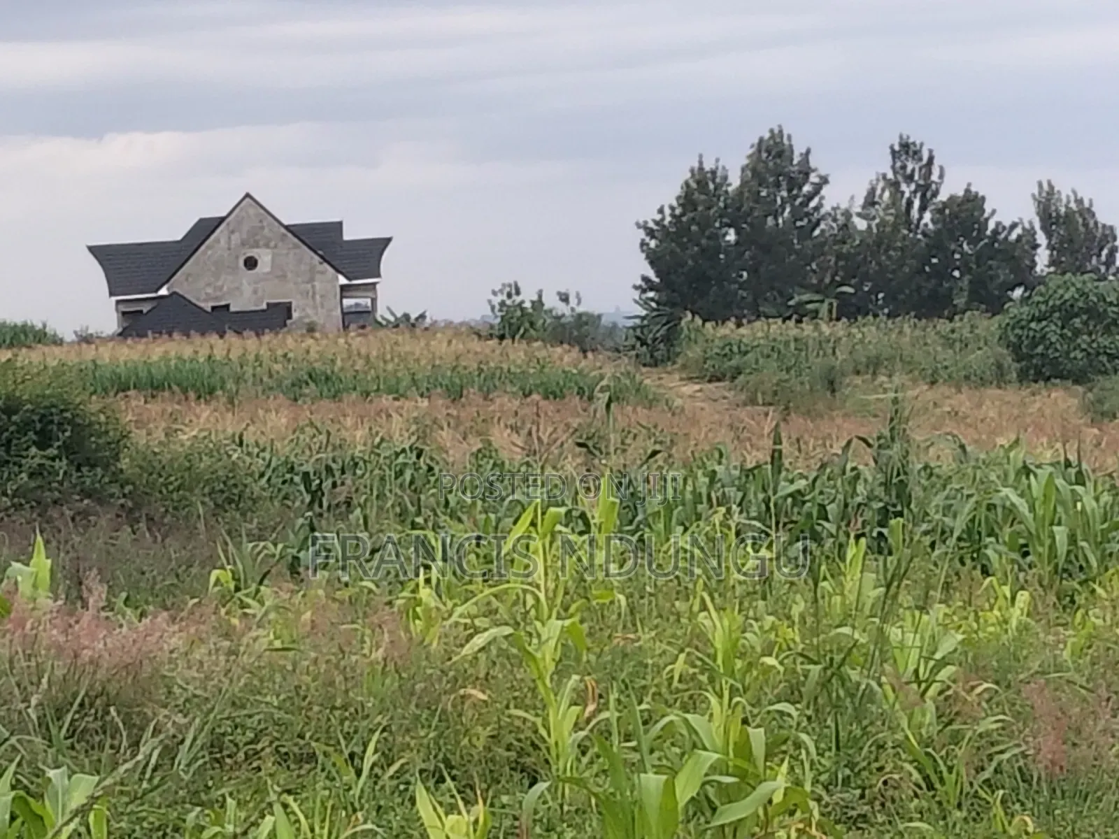 Residential Plot in Matrofi Gated Estatetinganga Kiambutown