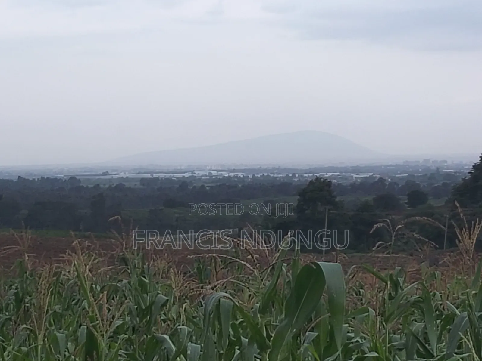Residential Plot in Matrofi Gated Estatetinganga Kiambutown