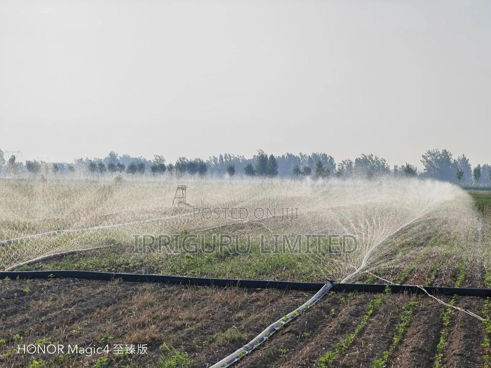 Irrigation Hose