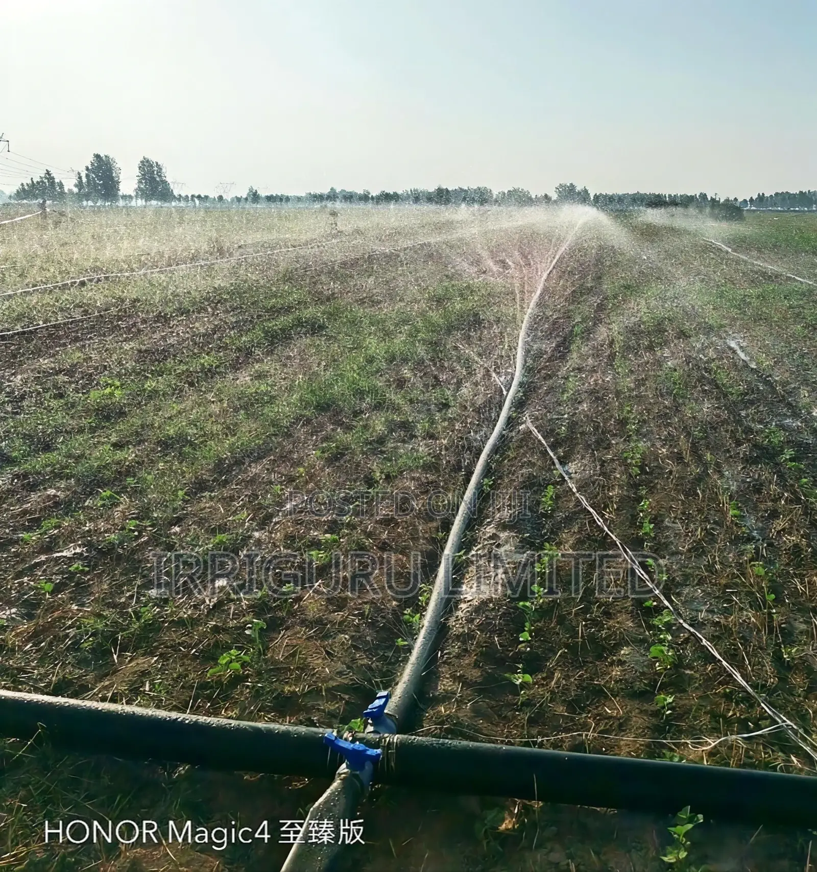 Irrigate the Rain Belt. Sprinkle Water on the Corn Field.