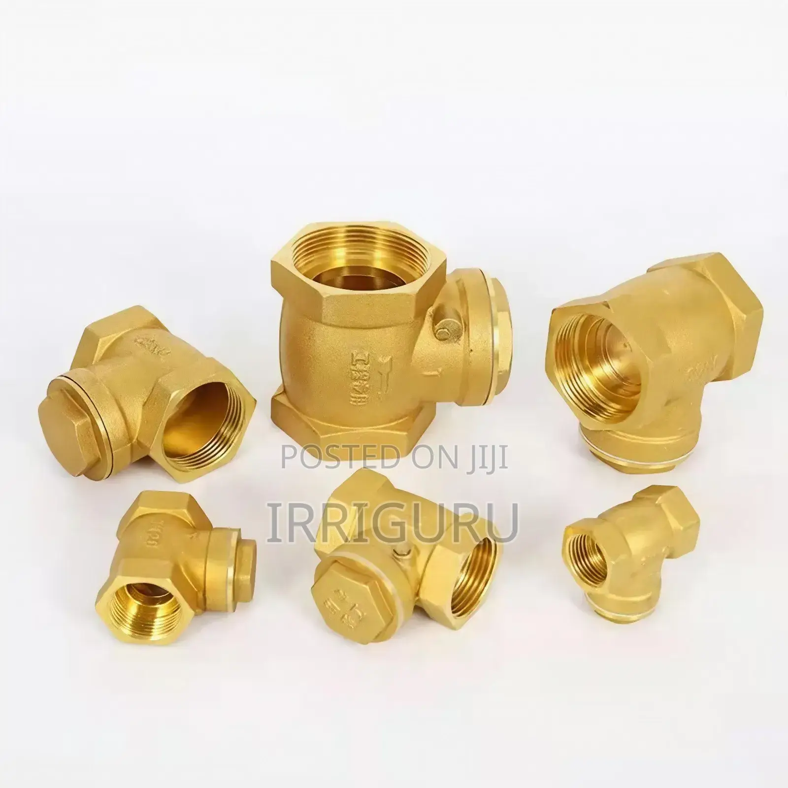 Check Valve