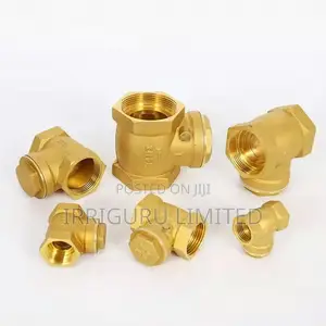 Check Valve