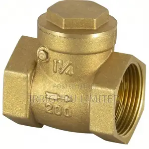 Reflux Valve